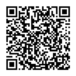 他这个所谓的第一顺位继承人什么流木王子汝夏王子都会变成一个笑话二维码生成