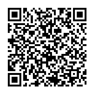 他这个时时刻刻都悟道的性格也许是在画龙点睛的那一天就养成了二维码生成