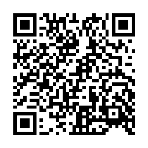 他这次任务就是让我们去沪山采一种山茶花的药二维码生成