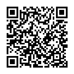 他这次挖洞是在距离暗夜神殿后山还有五十公里的地方开挖二维码生成