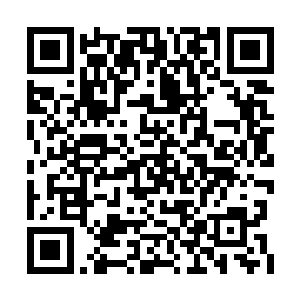 他连青阳神殿和无华殿的精锐弟子都不放在眼中二维码生成