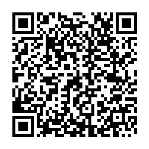 他都已经看不上了……他费尽了心力想要爬到第一顺位继承人的位置上二维码生成