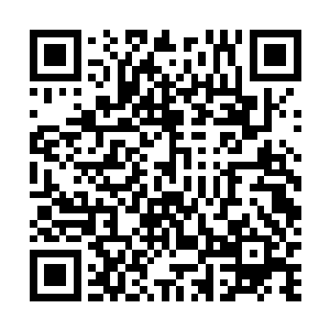 他钟澄心可是一直将下一任经略使视作囊中物的国器大才二维码生成