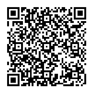 他隔着大老远都能清晰地感受到魂珠内的古代魂将碎片散发出的极为可怖的凶悍之气二维码生成