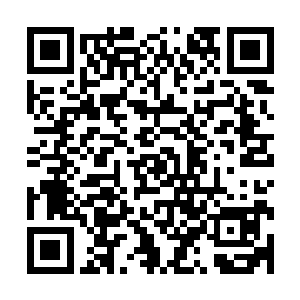 他需要找到一个或者几个非常需要pcr仪的学者――pcr仪的作用二维码生成
