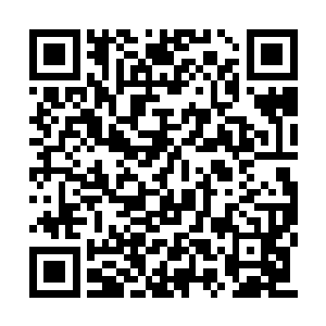 付家的人也从叶尊开始那绝快的攻击中反应过来二维码生成