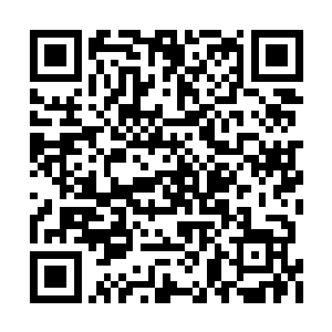仙丹在你遇到危急情况的时候令你修为暴增一阶二维码生成