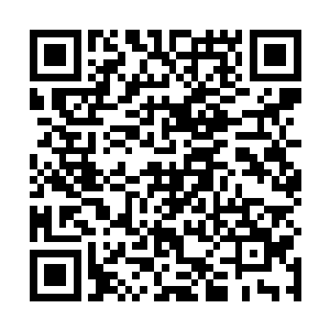 仙儿抬头看见华夏九俊美硬朗的面容和挺拔如枪的身姿二维码生成