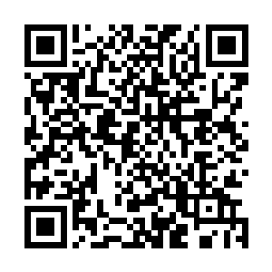 仙界之间的战争因为林烽的突然离开得到了一个短暂的和平二维码生成