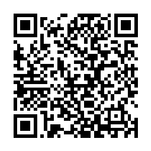 仙界的仙人们很快就从血色雾气里感应到了滔天的力量二维码生成