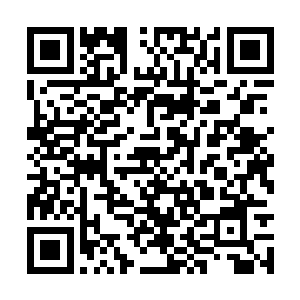 代代逗也合儿面光  现在连这个愿望也已经完成二维码生成