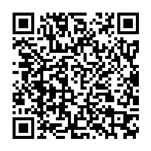 代离从血蝶记录下来的影像里看到的是模模糊糊的一堆人在林间穿梭二维码生成