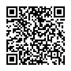 代表们破天荒地第一次对报告提出了几十条修改意见二维码生成