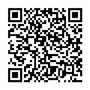 代表着他们的爱情……好像二人都用精血喂养过这株药材二维码生成