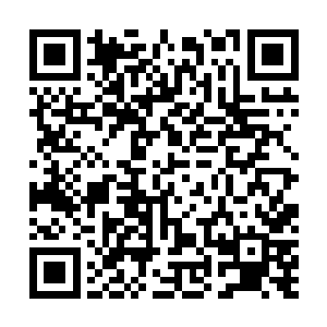 以一个仙皇中期的修为生生逼得半步人尊的龙吟没有脾气二维码生成