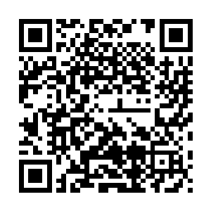以一个小团队的身份提交了这个任务……任务的提交是比较快的二维码生成