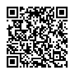 以一种扭曲的生存法则驻步渗透和改变着虚实的世界二维码生成