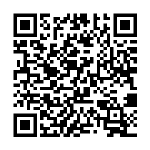 以为我们不敢北伐……需知土德亦有厚积薄发的一击二维码生成