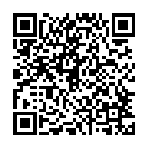 以他天阶十二星巅峰的修为在这样的气势之下竟然无法动弹二维码生成