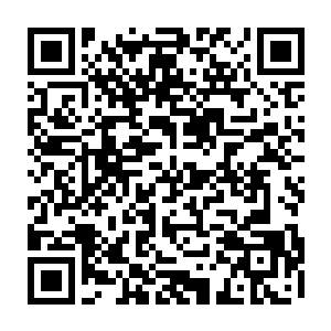 以你们这个世界人族的实力也是不可能能够打破这天罗地网闯进来救你们的二维码生成
