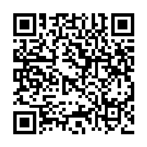 以信仰之力促进规则之力的领悟……诸神世界的规则啊……二维码生成