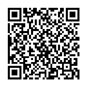 以几十门火炮去打击分散在诺大山顶的两百名民盟军士兵二维码生成