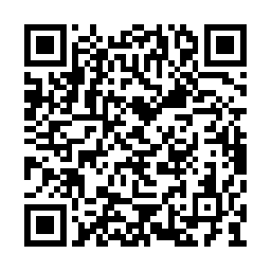 以前他竟会觉得那样娇柔的白露是温室里的花朵二维码生成