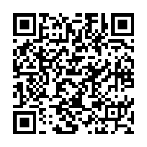 以前宽裕的时候爱娃给他和彼得都买过两件作为正式诚穿的二维码生成