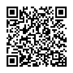 以前我一直不明白你们人族常说的神仙眷侣是什么意思二维码生成