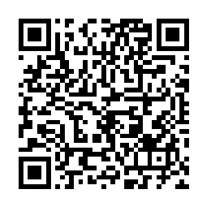 以前找到的几个愿意捐献心脏的志愿者的hla都和许继不同二维码生成