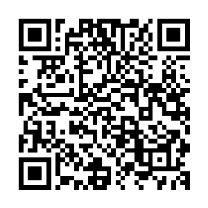 以前每次被公主派来请威武将军前去的内侍不是公主活活打死二维码生成