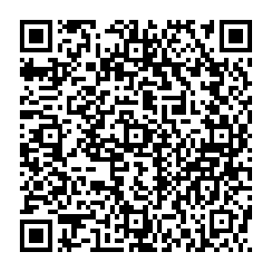 以前的时候菲利普斯总是以龙傲天为目标感觉自己跟龙傲天的差距虽然大但是也并不是没有可能赶上的二维码生成