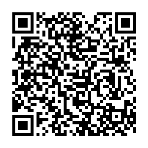 以前经常经过的时候看到他就这样呆呆的坐哪里我还以为是客人呢二维码生成