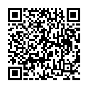 以单纯的玩家的力量是绝对无法制造出这混沌漩涡的二维码生成
