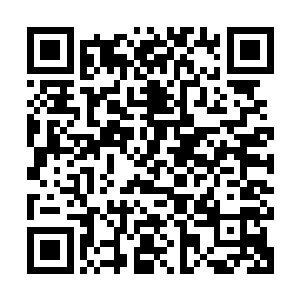 以卡森的眼光看眼前的这一匹小灰马说不准就是纯种的阿拉伯马二维码生成