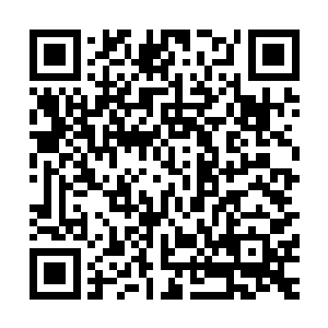 以及他们两大支脉麾下的所有强者浩浩荡荡的离开了兽神大陆二维码生成