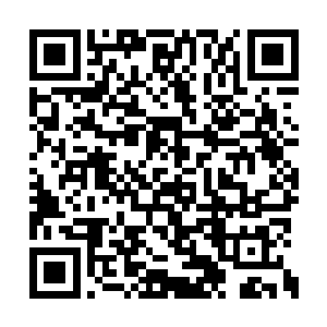 以及和他们分享我是怎么从一个草根变成大亨的二维码生成