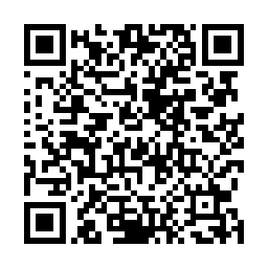 以及所以奋战在扫毒第一线的广大公安和武警官兵同志们二维码生成