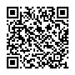 以及枪响后的走廊里为什么没有再传来任何声音二维码生成