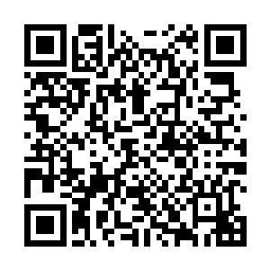 以及胸口的凤凰印记都在同一时刻出现一道刺眼的光晕二维码生成