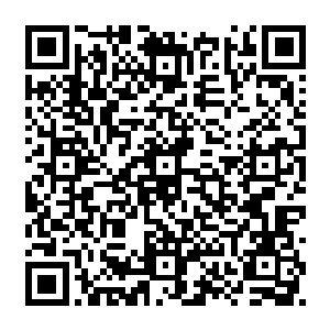 以及这一只已经相当强悍的九幽之灵了……但这两只强大存在似乎有着自己的默契二维码生成