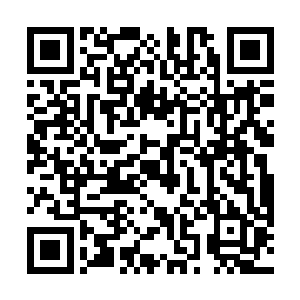 以及这个时间段内月希根据契约给自己的信仰之力分成二维码生成