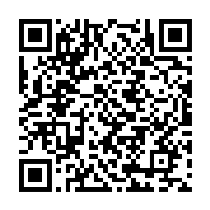 以及那仿佛打不死的顽强生命力和恐怖的疗伤速度二维码生成
