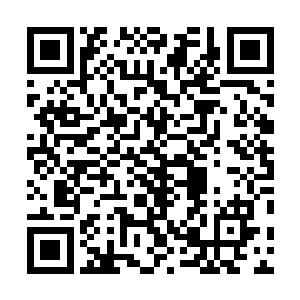 以合法化的手段去将叶凡的那些势力给全方位的打压下去二维码生成