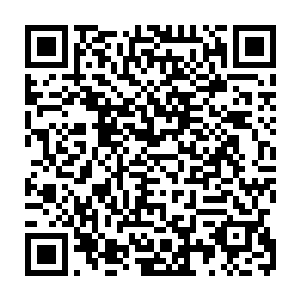 以后也不会再有机会了――这么难得事情难道他们还能隔几年就玩一次吗二维码生成