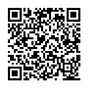 以后做事会比较麻烦……不过你们既然这么坚持二维码生成