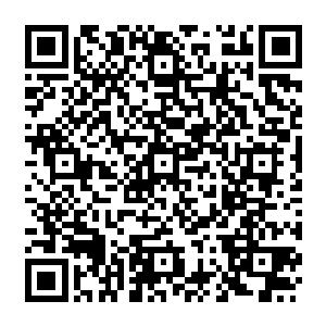 以后我们白羽门和苍云派就是不死不休的死敌了……怕是有五千年都不得安生……二维码生成