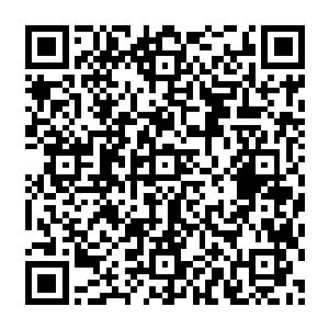 以后薇薇公主每次照镜子看到的都是自己的灵宠……怕是她每天都要活在自我厌弃中吧二维码生成
