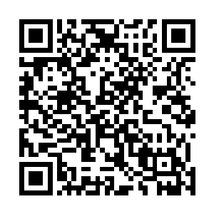 以圣级以下的混沌兽和域外天魔的实力已经攻不破仙主宫二维码生成