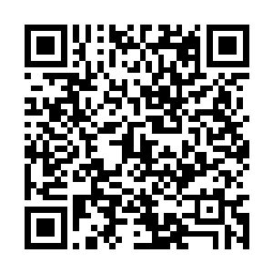 以她如今的实力布设一个巅峰灵阵实在是太过简单二维码生成